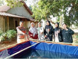 K3 ( KANDANG KOLAM KEBUN )